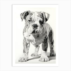 Paws And Playtime Art Print