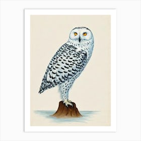 Snowy Owl Illustration Bird Art Print