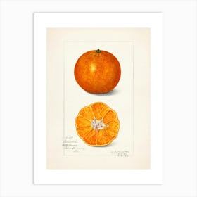 Oranges 2 Art Print