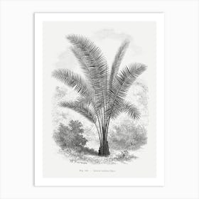 Vintage Palm Tree Art Print _2643190 Art Print