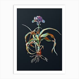 Vintage Iris Scorpiodes Botanical Watercolor Illustration on Dark Teal Blue n.0583 Art Print