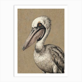 Pelican 13 Art Print