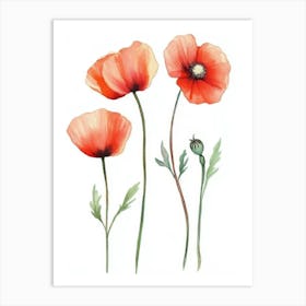 Watercolor Poppies 1 Art Print