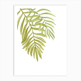 Watercolor Tropical Leaf On White Art Print