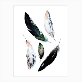 Feathers Watercolor Art Print