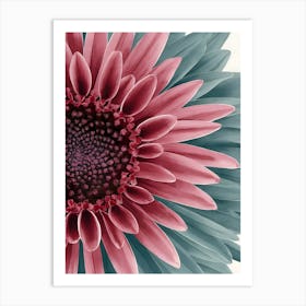 Gerbera Daisy 1 Art Print