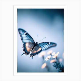 Flying Butterfly Art Print