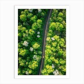 Aerial View Of A Forest Road 4 Art Print