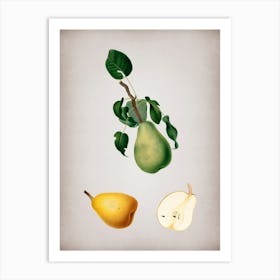 Vintage Winter Citron Botanical on Parchment n.0005 Art Print