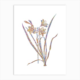 Stained Glass Daylily Mosaic Botanical Illustration on White n.0281 Art Print