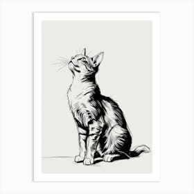 Cat Looking Up 4 Art Print