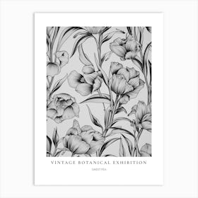 Sweet Pea B&W Vintage Botanical Poster Art Print