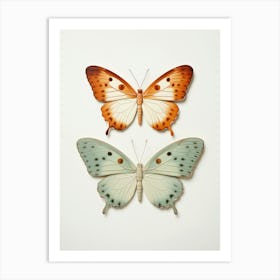 Two Butterflies Art Print