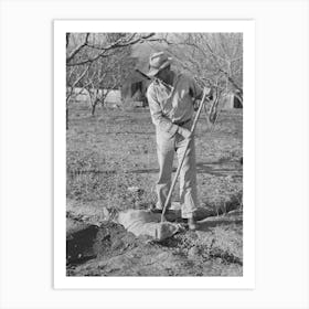 Farmer Using Sacking To Bank Irrigation Ditch, Placer County, California, He Is From Oklahoma By Russell Lee Art Print