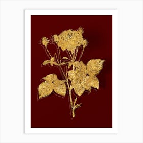 Vintage Pink French Roses Botanical in Gold on Red Art Print