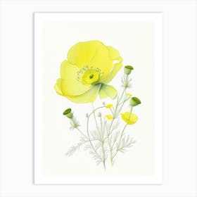 Buttercup Floral Quentin Blake Inspired Illustration 1 Flower Art Print