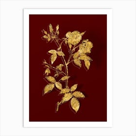 Vintage Velvet China Rose Botanical in Gold on Red n.0142 Art Print