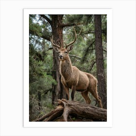 Deer In The Forest 2 Art Print