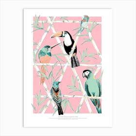 Amazon Birds Art Print