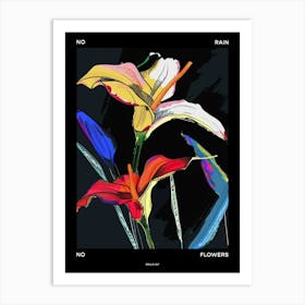 No Rain No Flowers Poster Calla Lily 1 Art Print