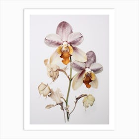 Pressed Flower Botanical Art Orchid Art Print