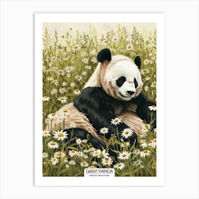 Giant Panda Resting In A Field Of Daisies Poster 133 Art Print