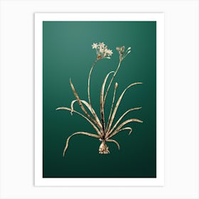 Gold Botanical Allium Fragrans on Dark Spring Green n.0288 Art Print