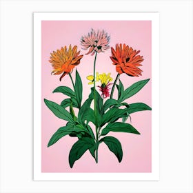 Zinnias Art Print