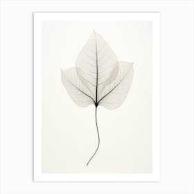 Leaf On A White Background Art Print