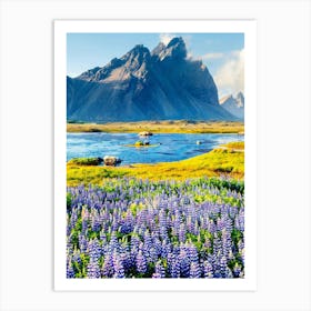 Lupins In Iceland Art Print