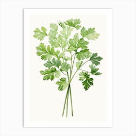 Cilantro Vintage Botanical Herbs 1 Art Print