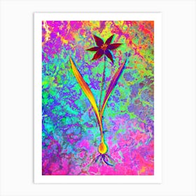 Tulipa Celsiana Botanical in Acid Neon Pink Green and Blue n.0253 Art Print