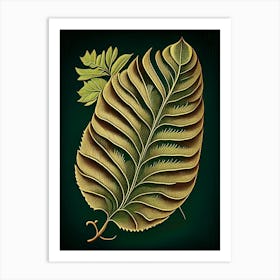 Tamarind Leaf Vintage Botanical 4 Art Print
