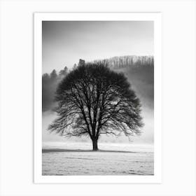 Lone Tree Art Print