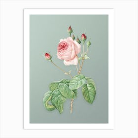 Vintage Cabbage Rose Botanical Art on Mint Green n.0898 Art Print