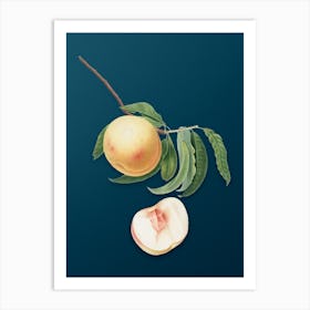 Vintage Duracina Peach Botanical Art on Teal Blue n.0930 Art Print