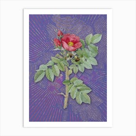 Vintage Kamtschatka Rose Botanical Illustration on Veri Peri n.0768 Art Print