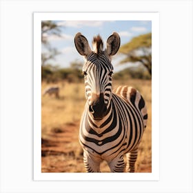 Portrait Of A Zebra V1 Art Print