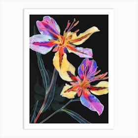 Neon Flowers On Black Portulaca 4 Art Print