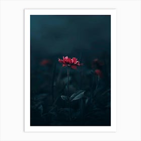 Flower In The Dark 95 Art Print