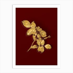 Vintage Redleaf Rose Botanical in Gold on Red n.0029 Art Print