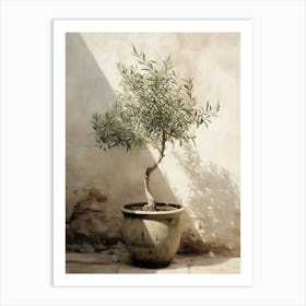 Olive Tree In Pot Art Print