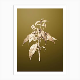 Gold Botanical Commelina Zanonia on Dune Yellow n.0057 Art Print