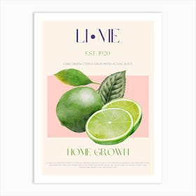 Lime Fruit Mid Century Art Print
