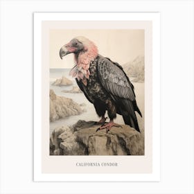 Vintage Bird Drawing California Condor 2 Poster Art Print