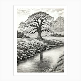 highly detailed pencil sketch of oak tree next to stream, mountain background 9 Art Print