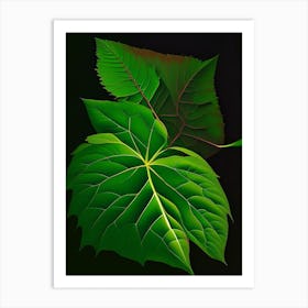 Snakeroot Leaf Vibrant Inspired 3 Art Print