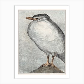 Silver Gull (1878–1908), Theo Van Hoytema Art Print