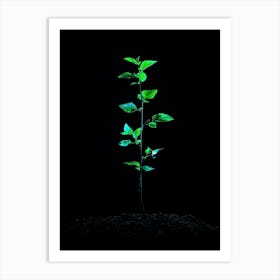 Green Plant - Green Stock Videos & Royalty-Free Footage Art Print