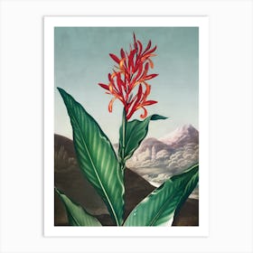 Flora Of Hawaii Art Print